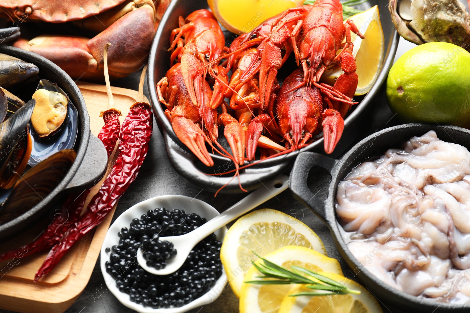 Photo of Many different sea food on table, closeup