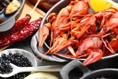 Photo of Many different sea food on table, closeup