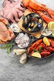 Photo of Many different sea food on grey table, top view