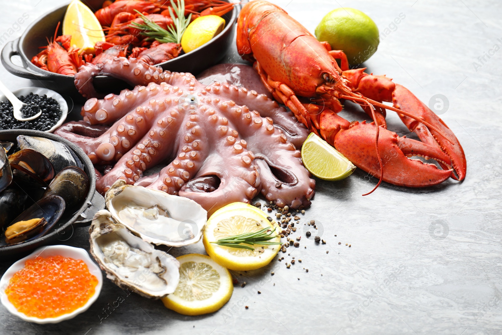 Photo of Many different sea food on grey table, closeup