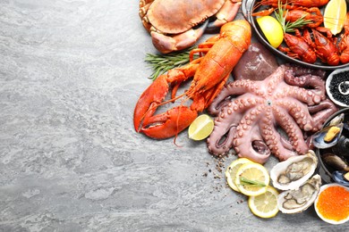 Photo of Many different sea food on grey table, top view. Space for text