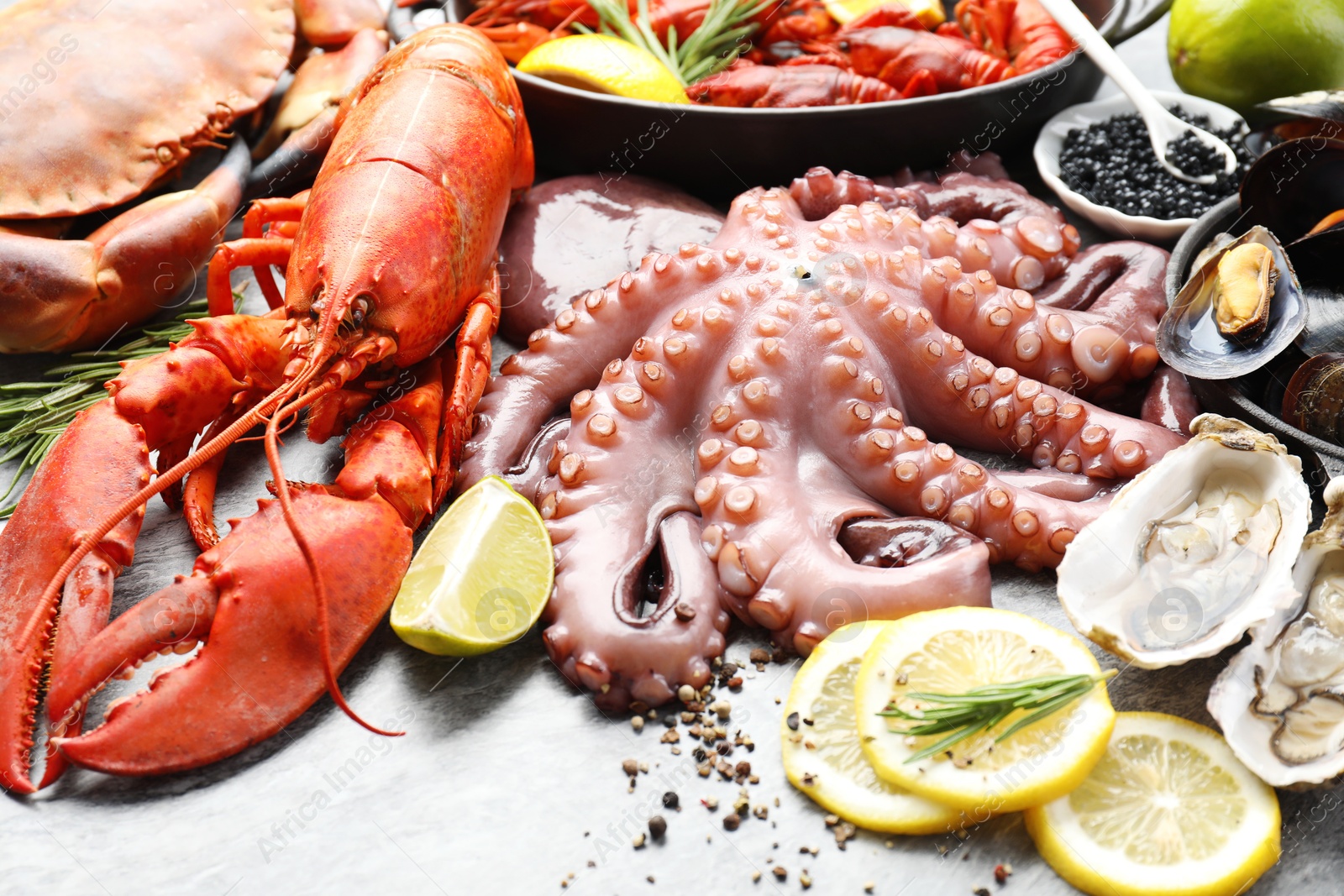 Photo of Many different sea food on grey table, closeup