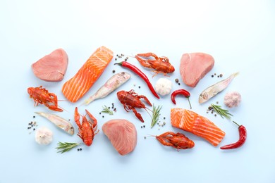 Photo of Many different sea food and spices on light blue background, flat lay