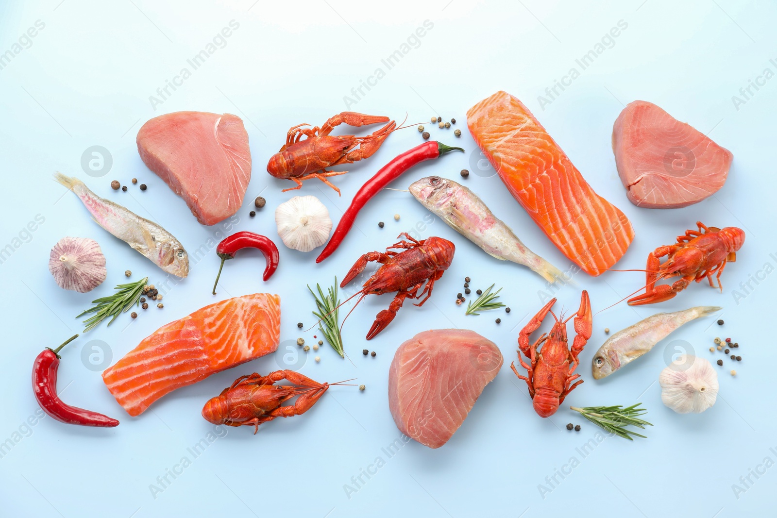 Photo of Many different sea food and spices on light blue background, flat lay