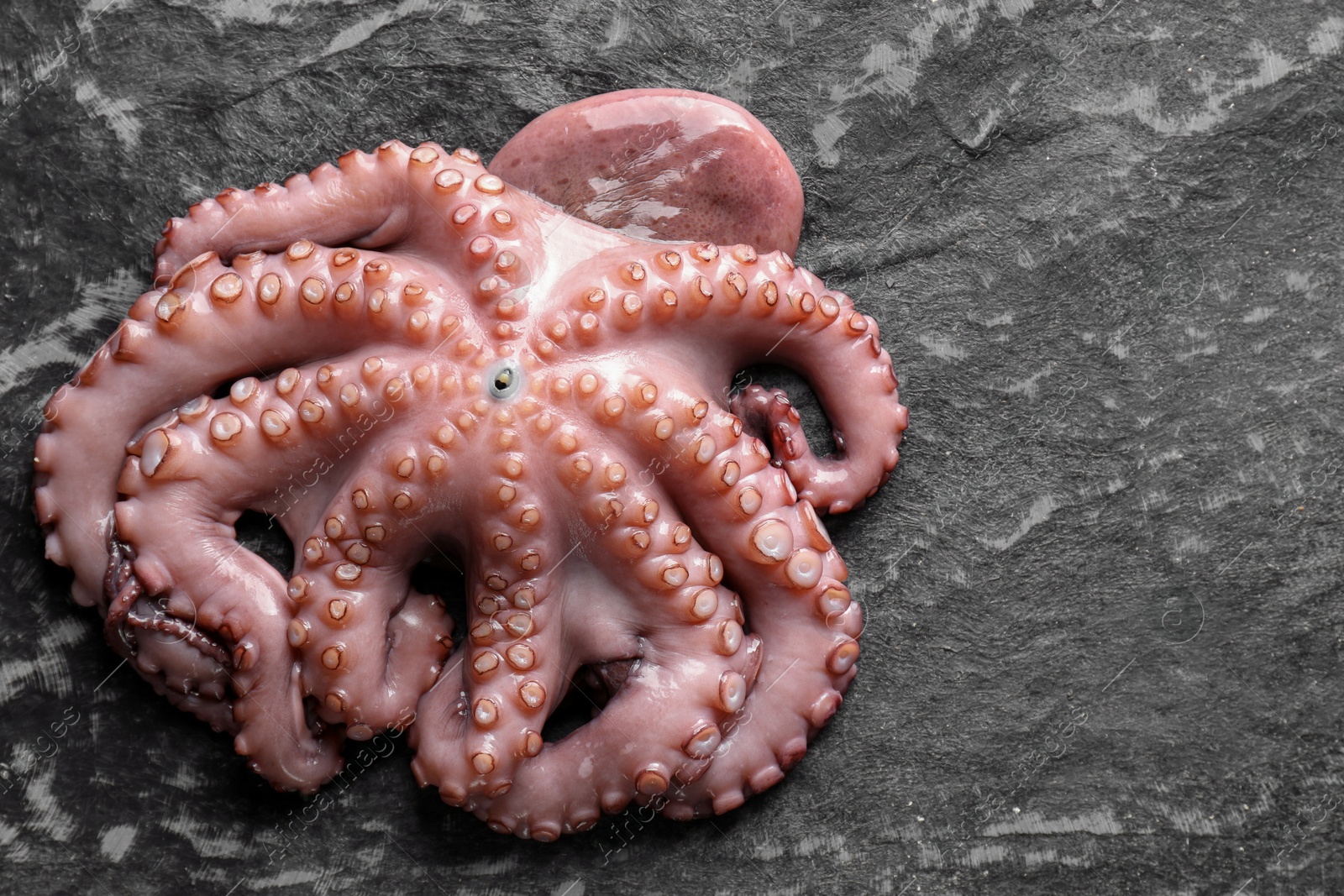 Photo of Sea food. One fresh raw octopus on dark table, above view. Space for text