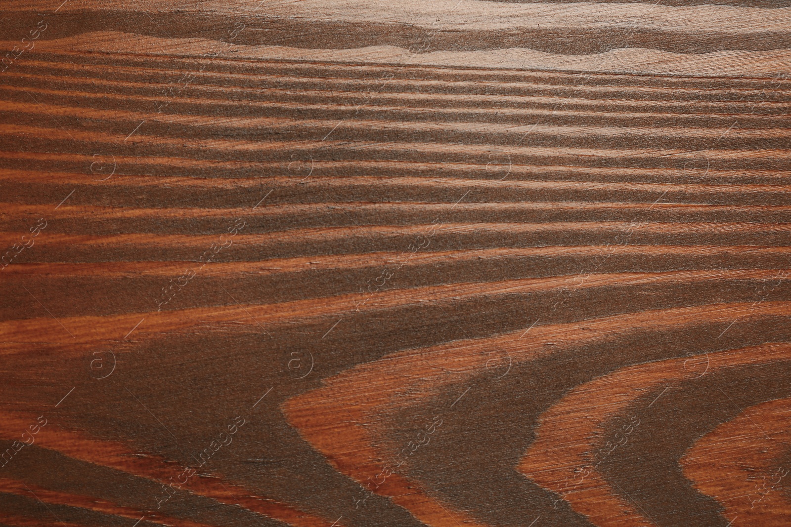 Photo of Applying walnut wood stain. Texture of wooden surface as background, top view