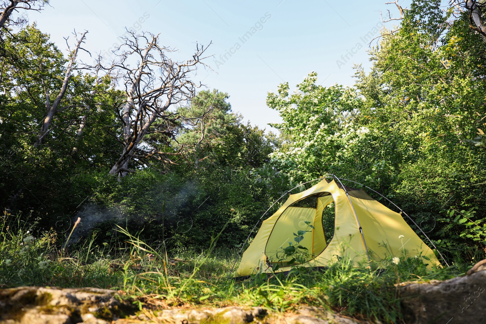 Photo of Modern camping tent in forest at summer, space for text