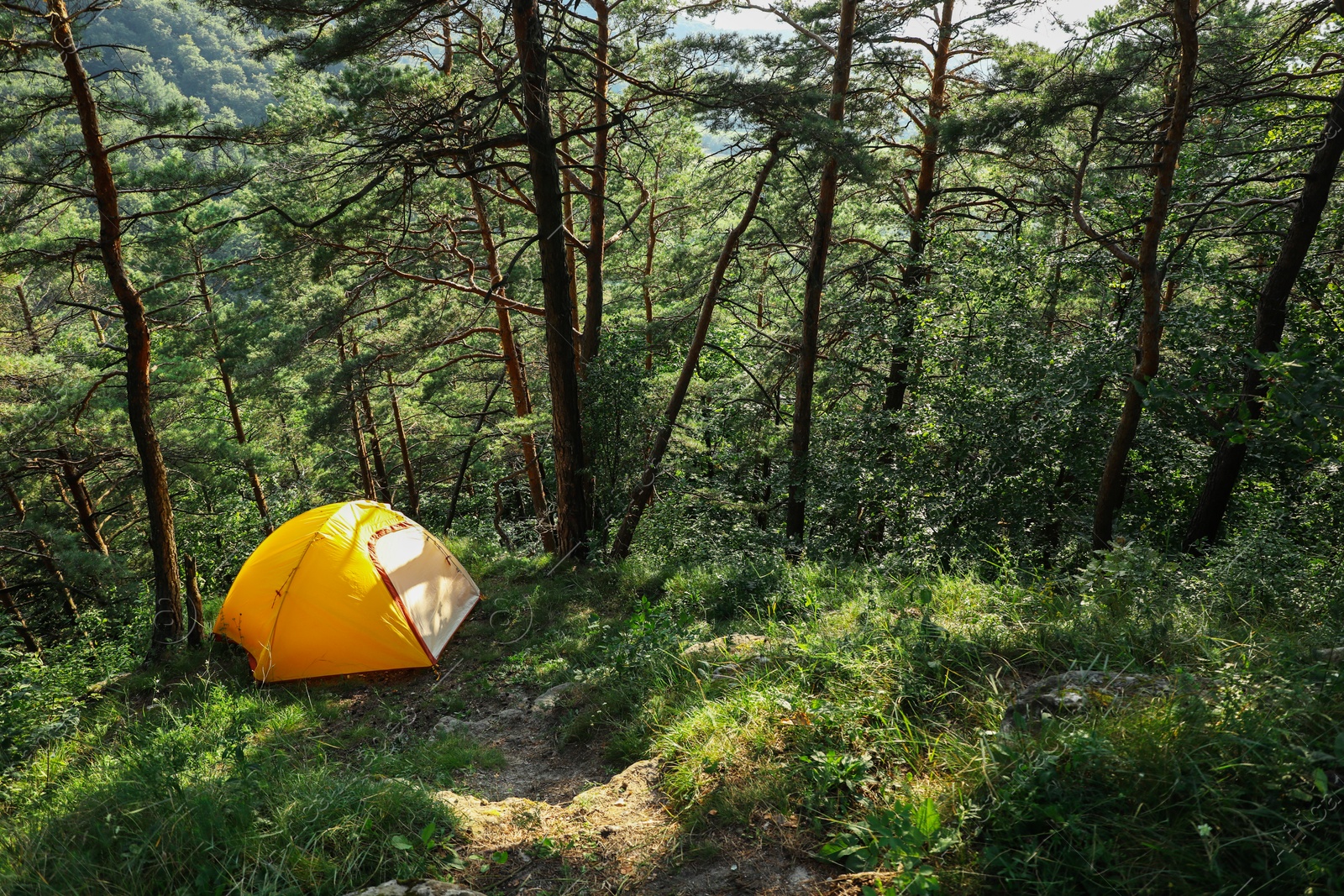 Photo of Modern camping tent in forest at summer, space for text