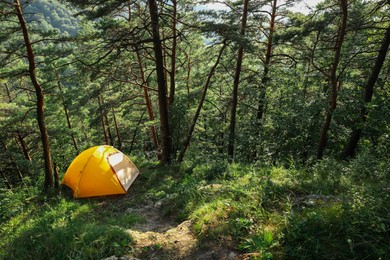 Modern camping tent in forest at summer, space for text