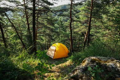 Photo of Modern camping tent in forest at summer