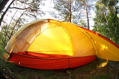 Photo of Modern camping tent in forest at summer, low angle view