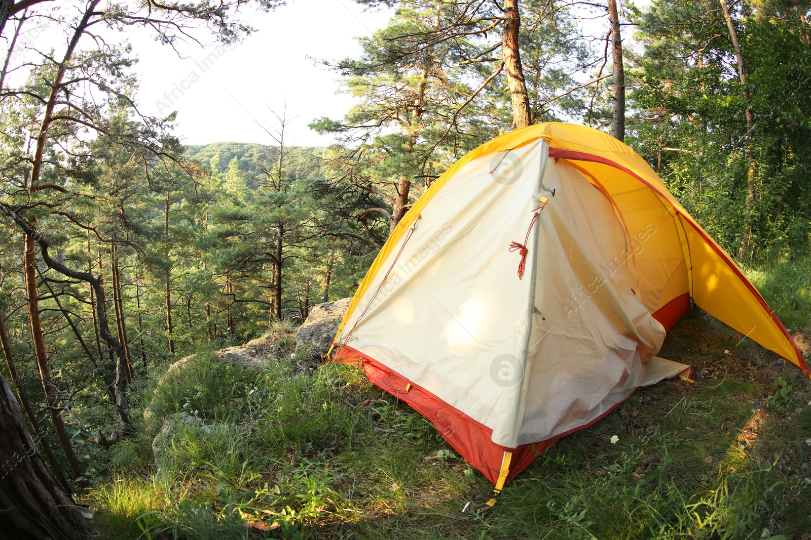 Photo of Modern camping tent in forest at summer, space for text. Fisheye lens effect