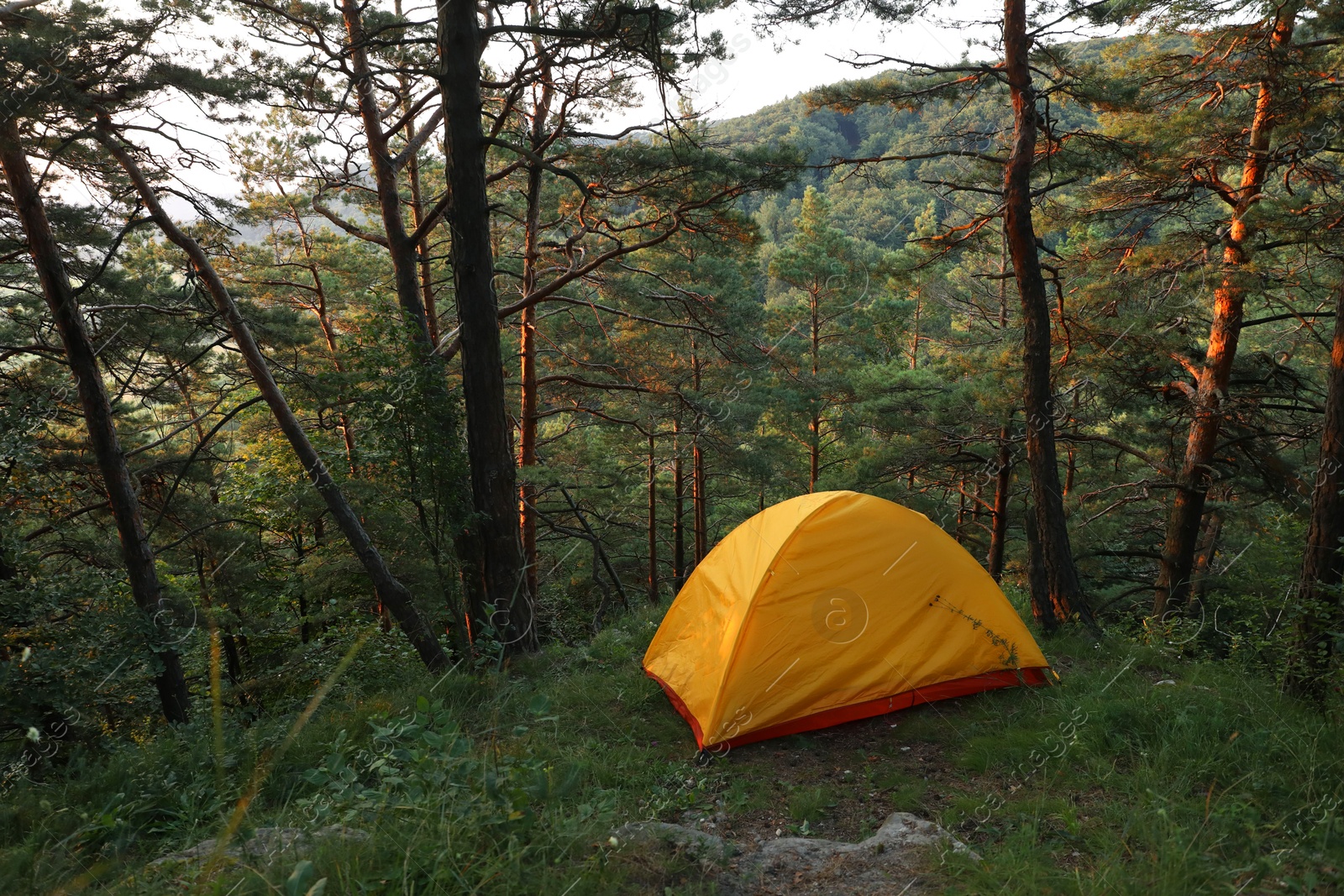 Photo of Modern camping tent in forest at summer, space for text