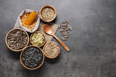 Photo of Different types of seeds and legumes on grey table, flat lay. Space for text