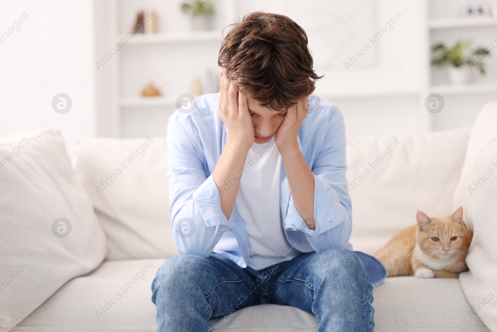 Photo of Loneliness concept. Sad teenage boy with cute cat on sofa at home