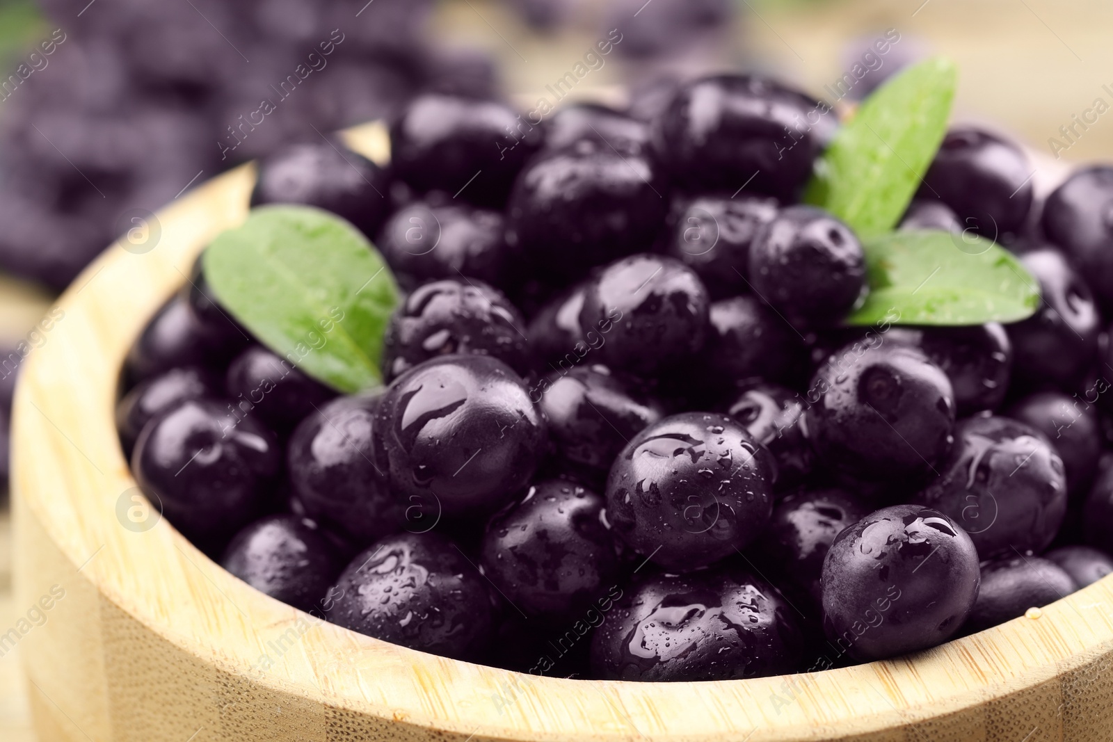 Photo of Ripe acai berries and leaves in bowl, closeup