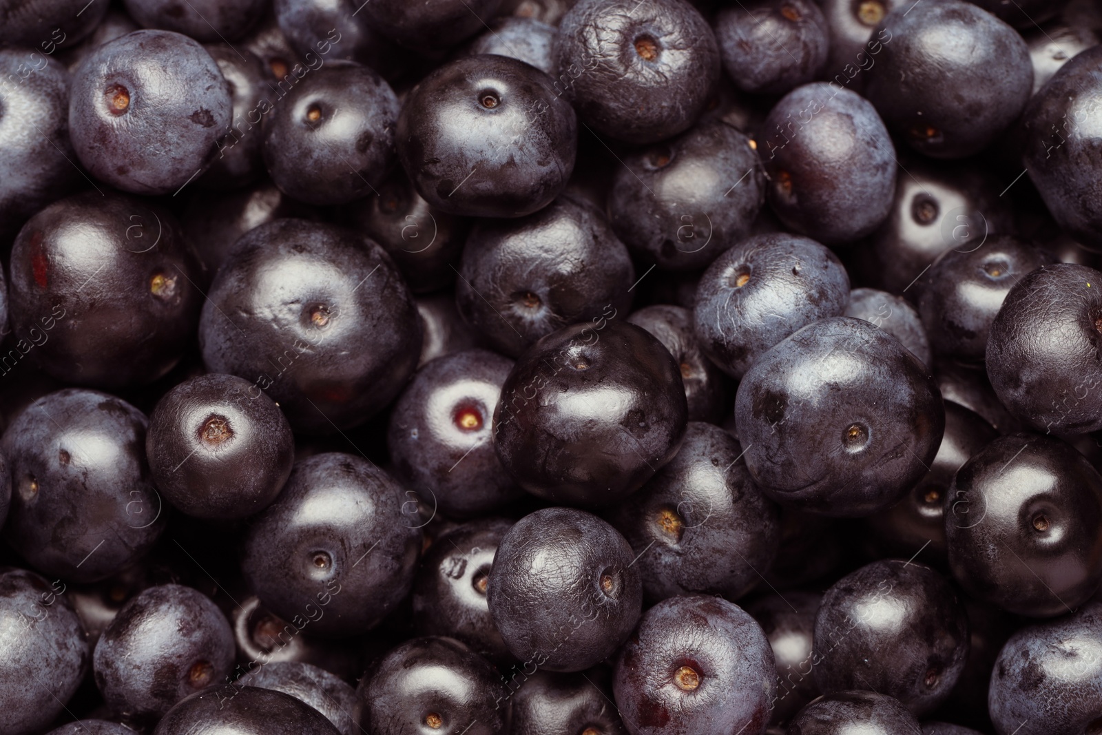 Photo of Ripe acai berries as background, top view