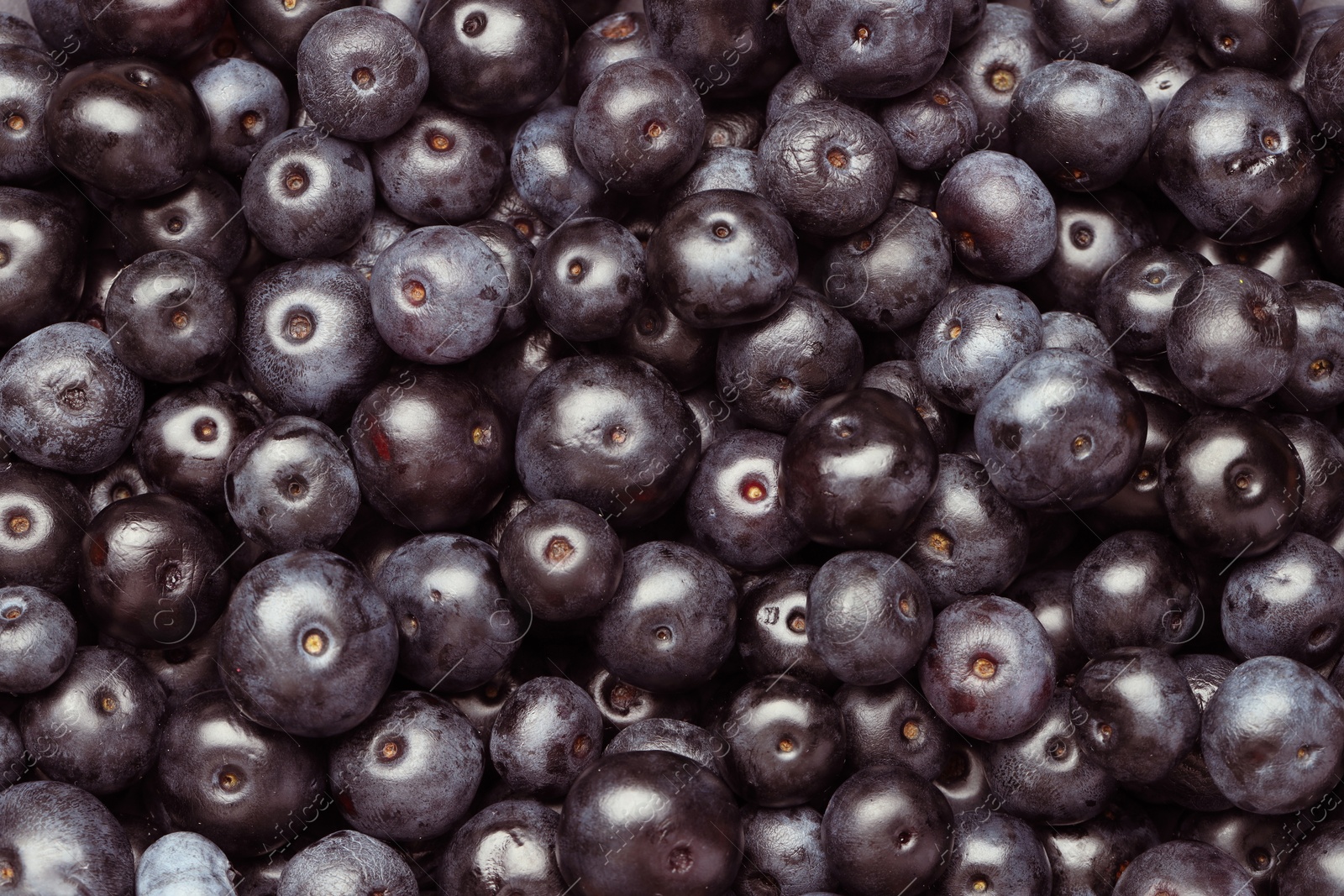 Photo of Ripe acai berries as background, top view