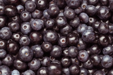 Photo of Ripe acai berries as background, top view