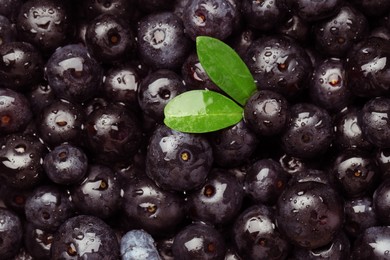 Photo of Wet acai berries and leaves as background, top view