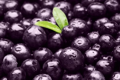 Photo of Wet acai berries and leaves as background, closeup