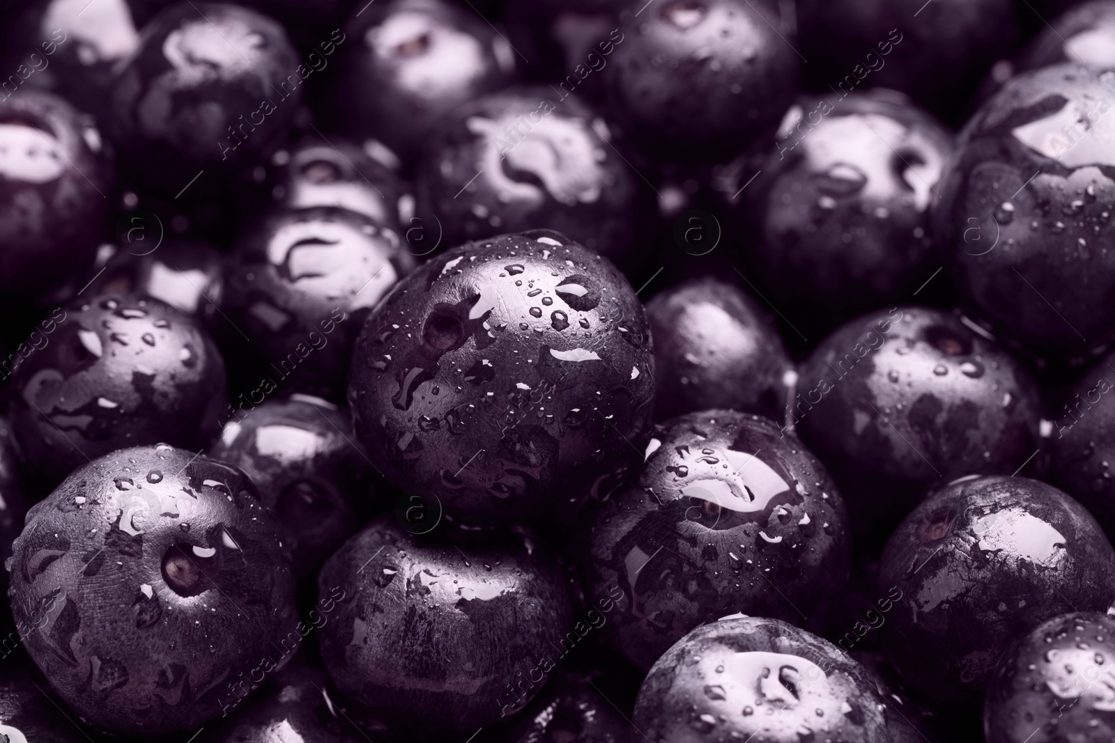 Photo of Wet acai berries as background, closeup view