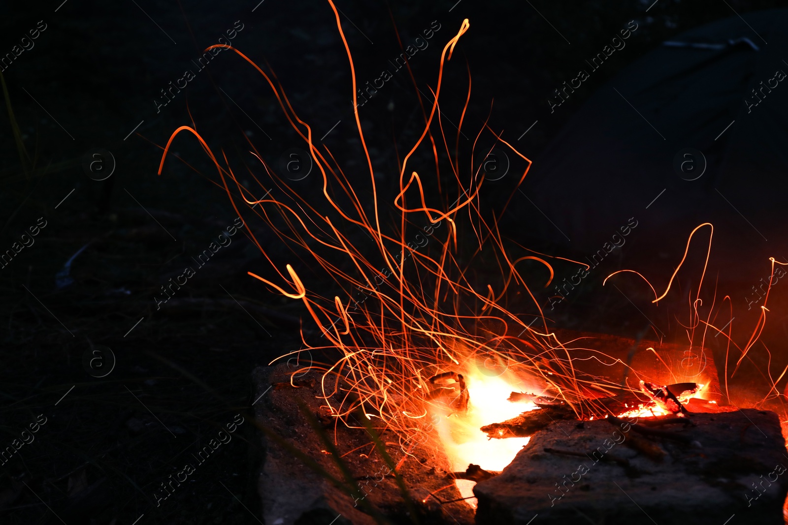 Photo of Campfire with beautiful flame in forest at night