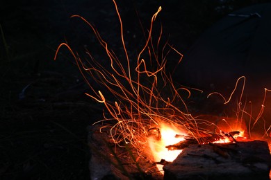 Photo of Campfire with beautiful flame in forest at night