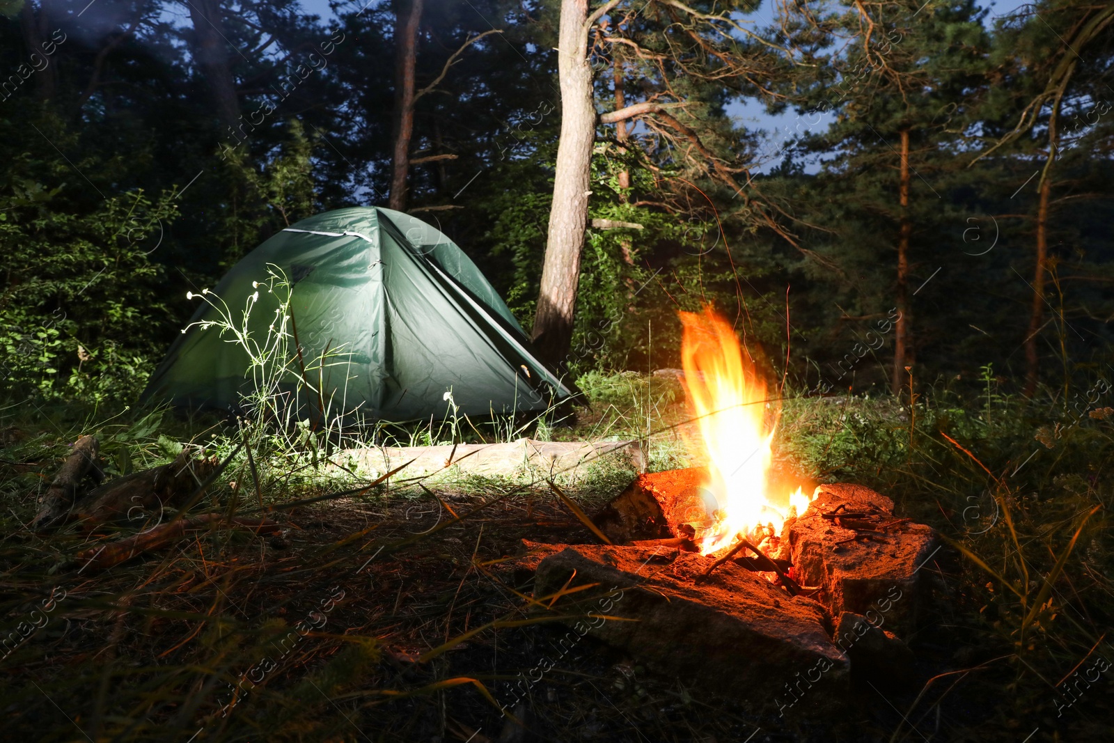 Photo of Bonfire and camping tent in forest at night