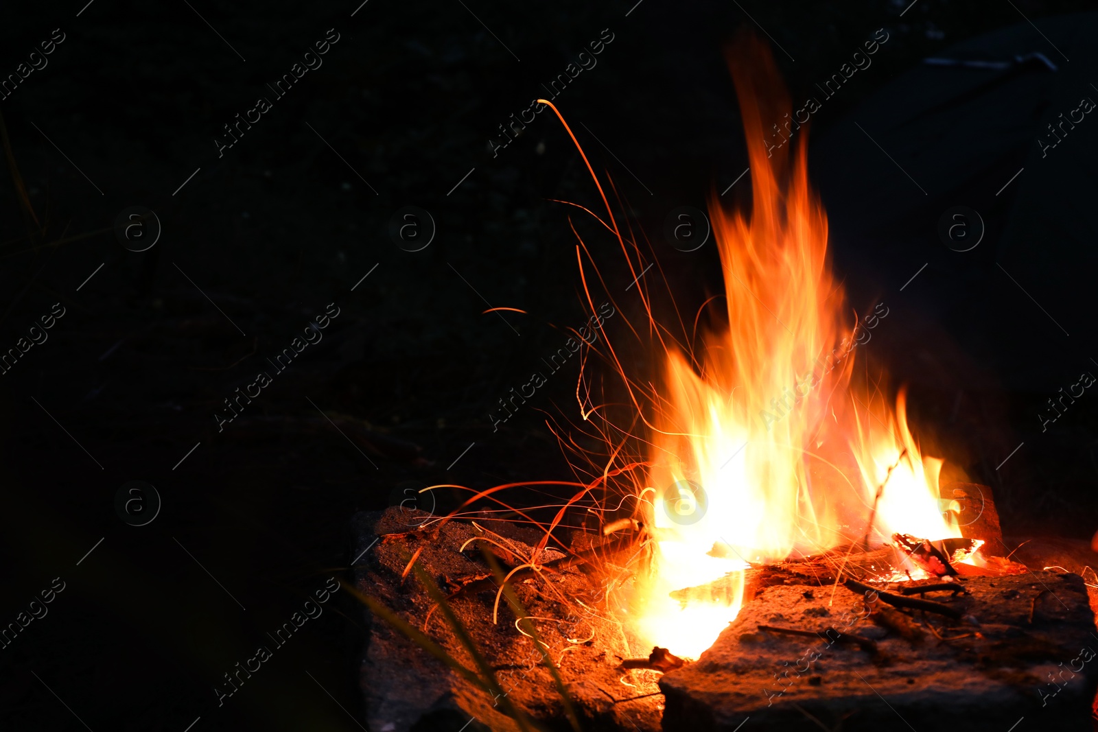 Photo of Campfire with beautiful flame in forest at night, space for text