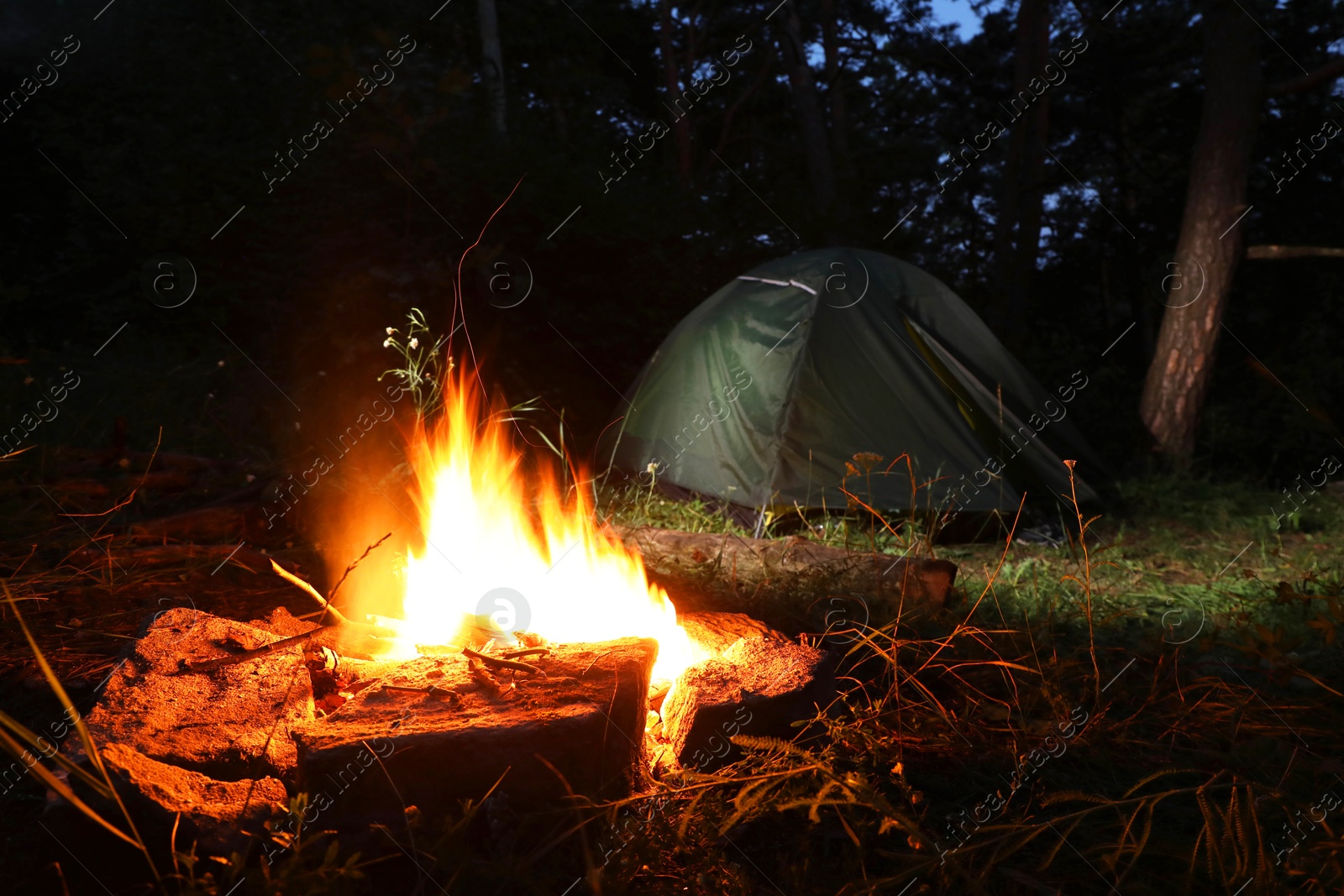 Photo of Bonfire and camping tent in forest at night