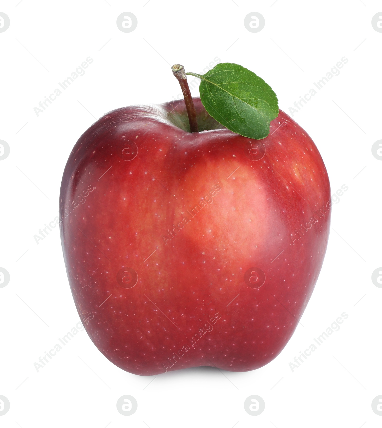 Photo of One fresh red apple isolated on white