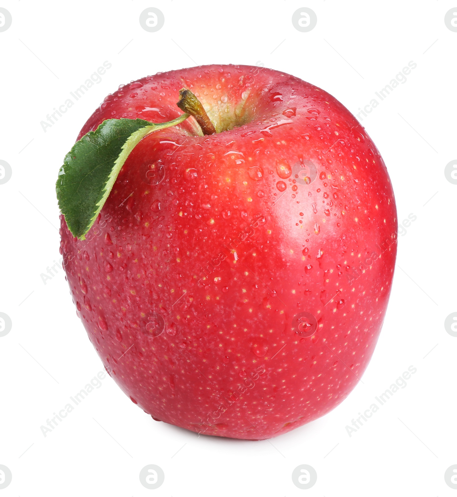 Photo of One fresh red apple isolated on white