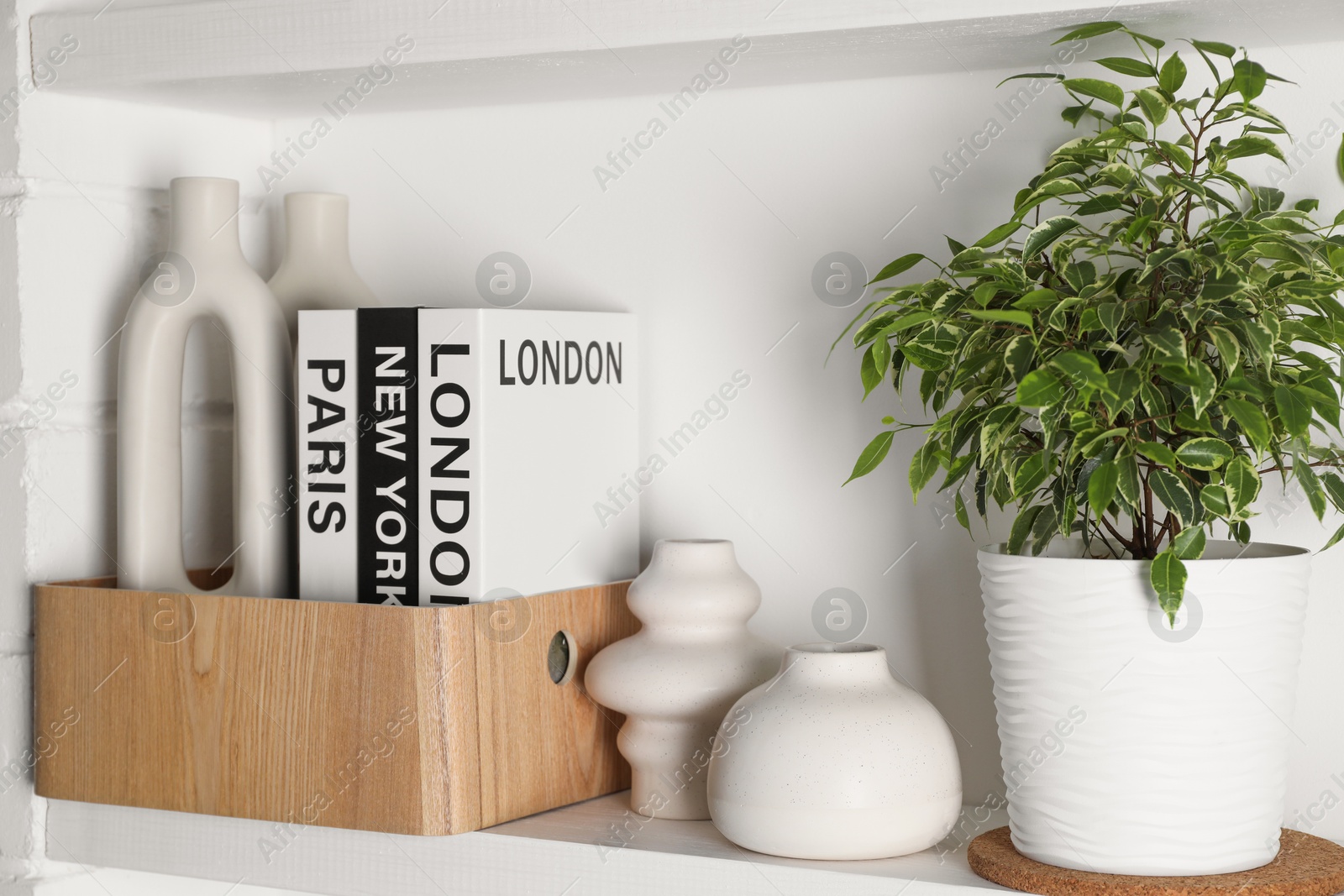 Photo of Ceramic vases, books and houseplant on shelving unit