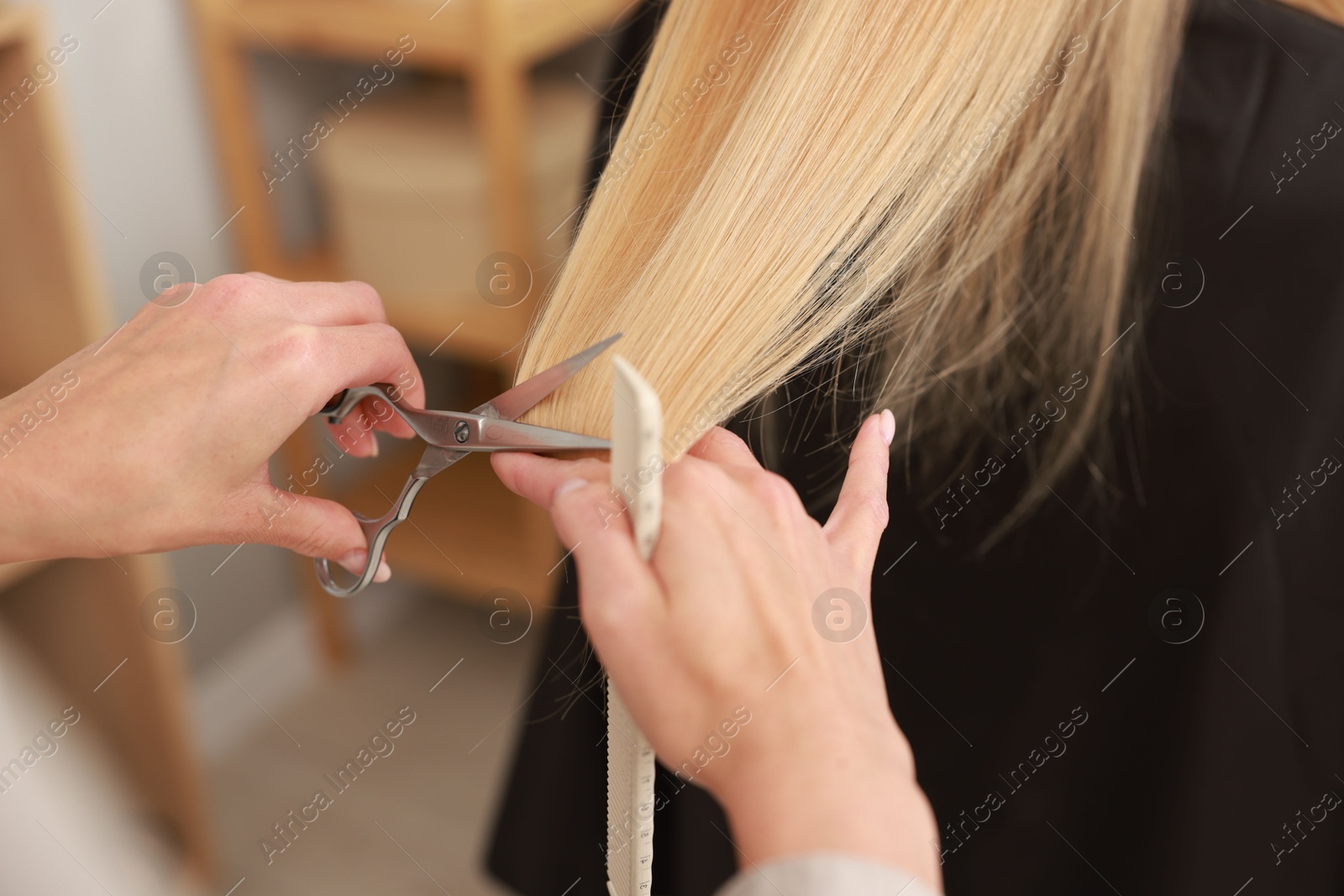 Photo of Hairdresser cutting client's hair with scissors in salon, closeup