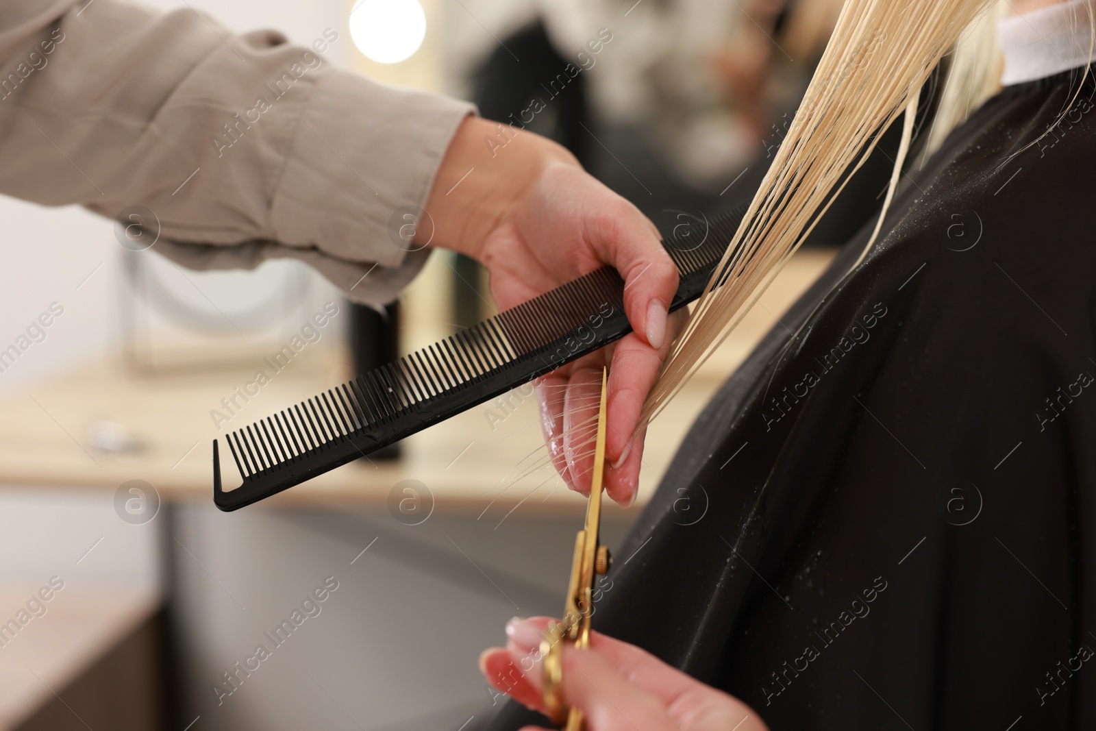 Photo of Hairdresser cutting client's hair with scissors in salon, closeup