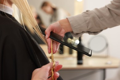 Hairdresser cutting client's hair with scissors in salon, closeup