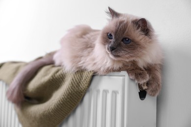 Photo of Cute fluffy cat on radiator at home, closeup