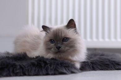 Photo of Cute fluffy cat on rug near radiator at home, closeup