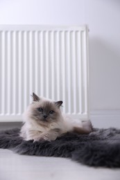 Photo of Cute fluffy cat on rug near radiator at home