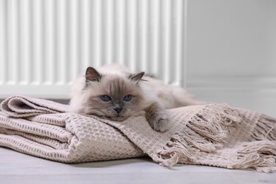 Photo of Cute fluffy cat on blanket near radiator at home