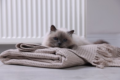 Photo of Cute fluffy cat on blanket near radiator at home