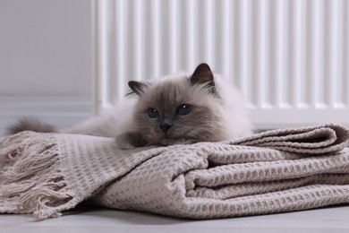 Cute fluffy cat on blanket near radiator at home