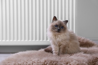 Photo of Cute fluffy cat on rug near radiator at home