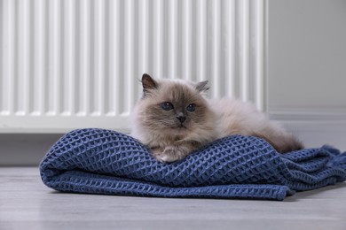 Photo of Cute fluffy cat on blanket near radiator at home