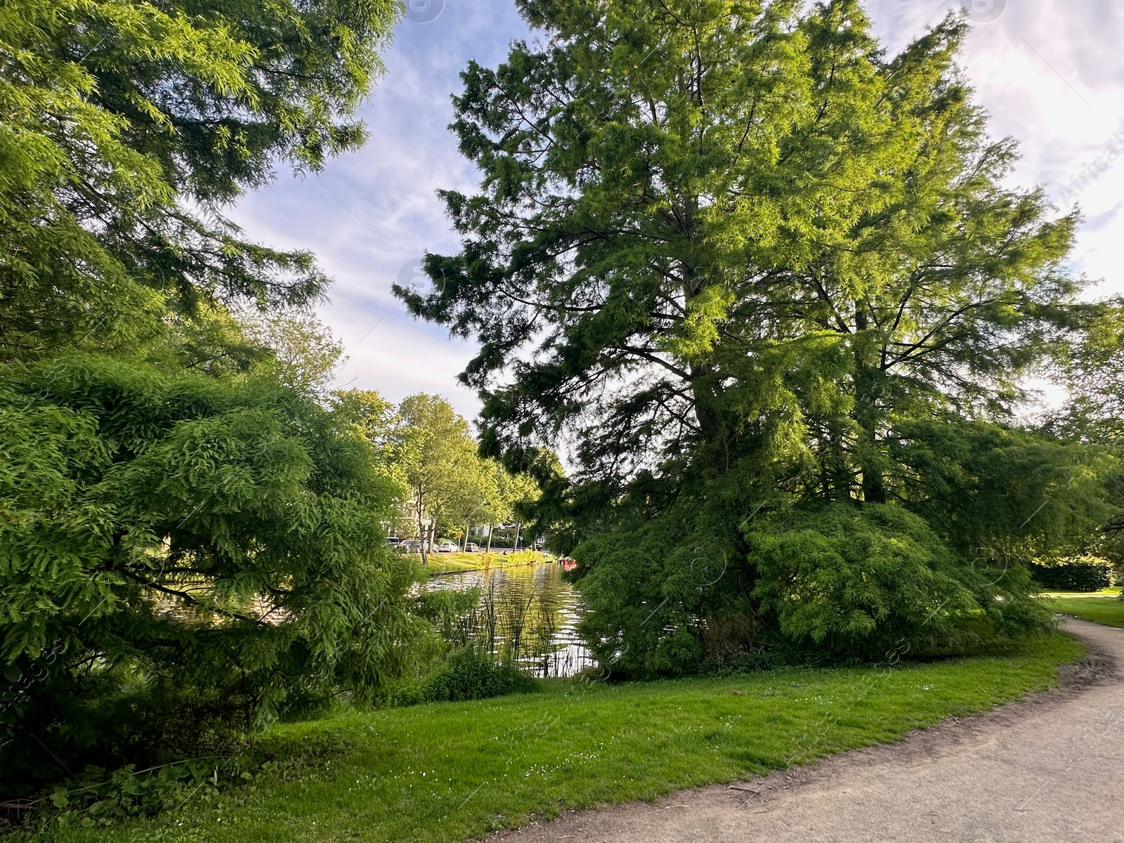 Photo of Beautiful view of park with pathway and trees outdoors