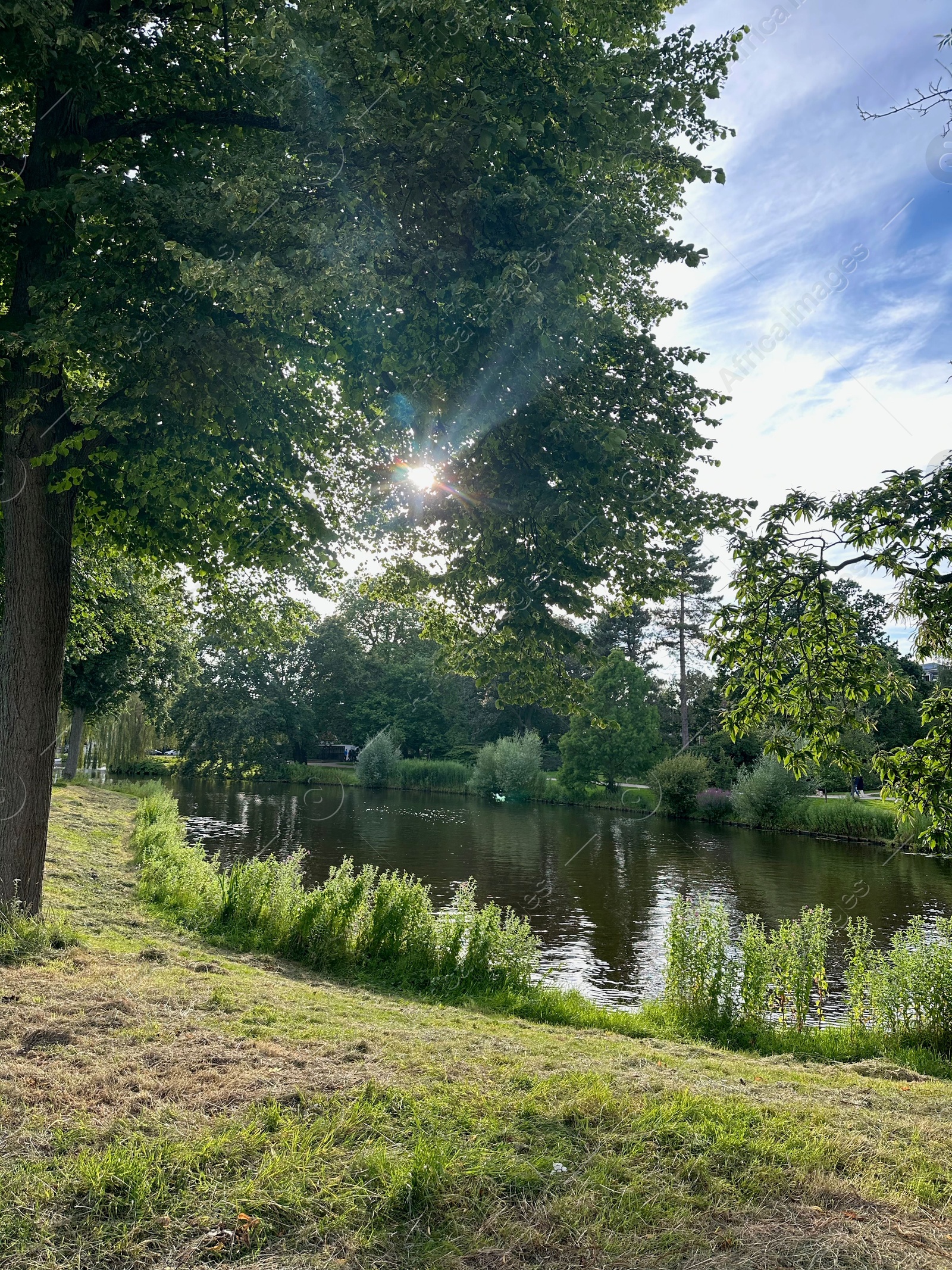 Photo of Picturesque view of canal and trees outdoors