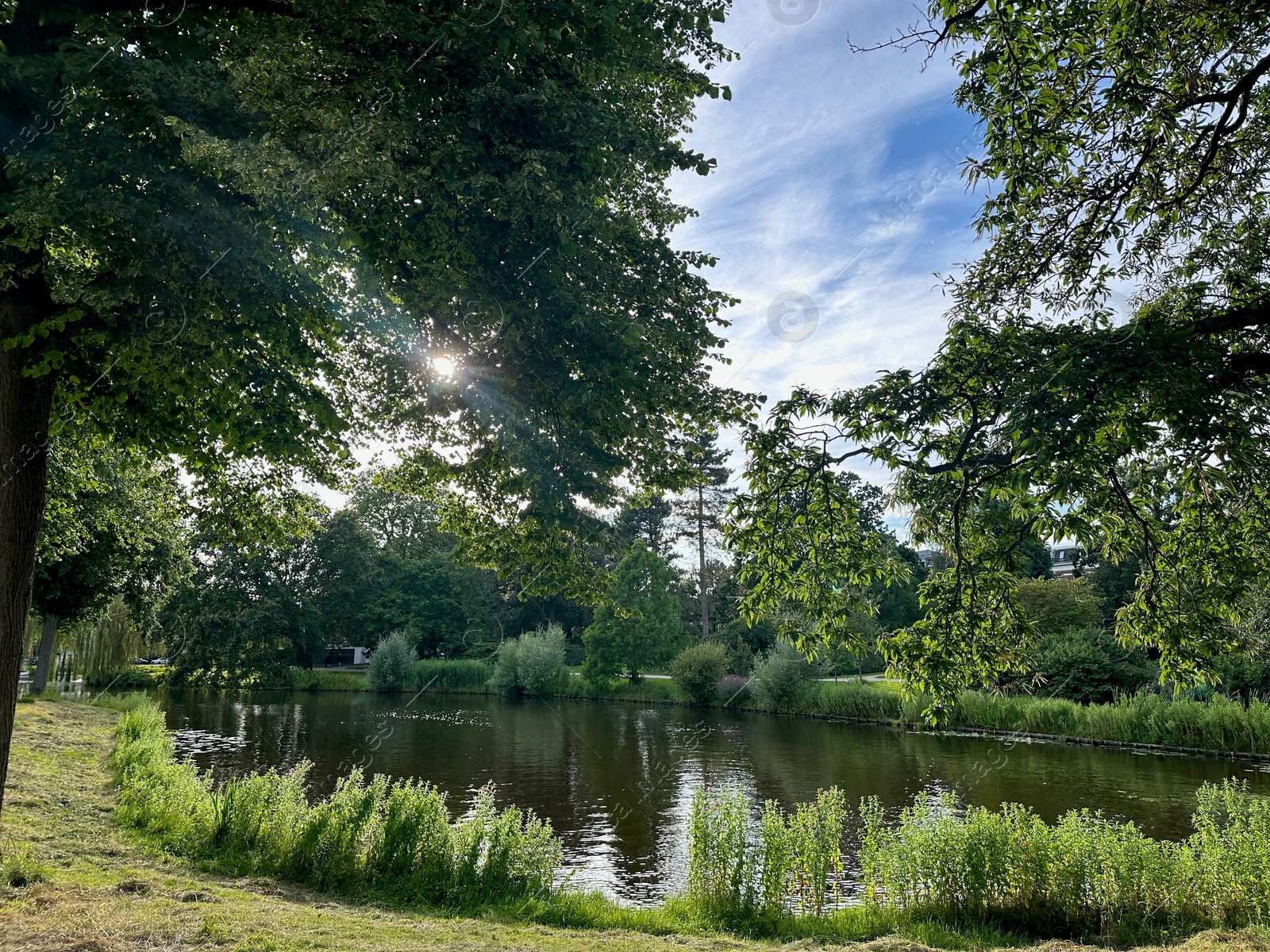 Photo of Picturesque view of canal and trees outdoors