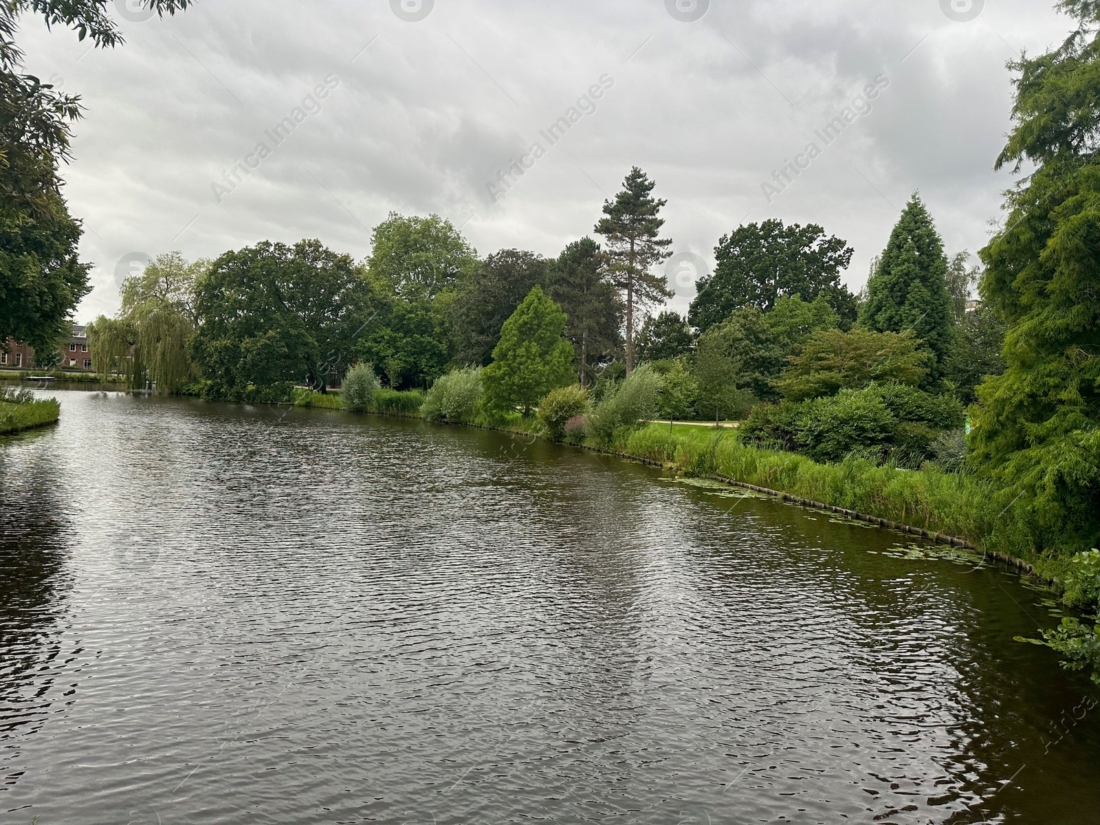 Photo of Picturesque view of canal among trees outdoors