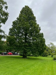 Photo of Picturesque view of park with beautiful trees